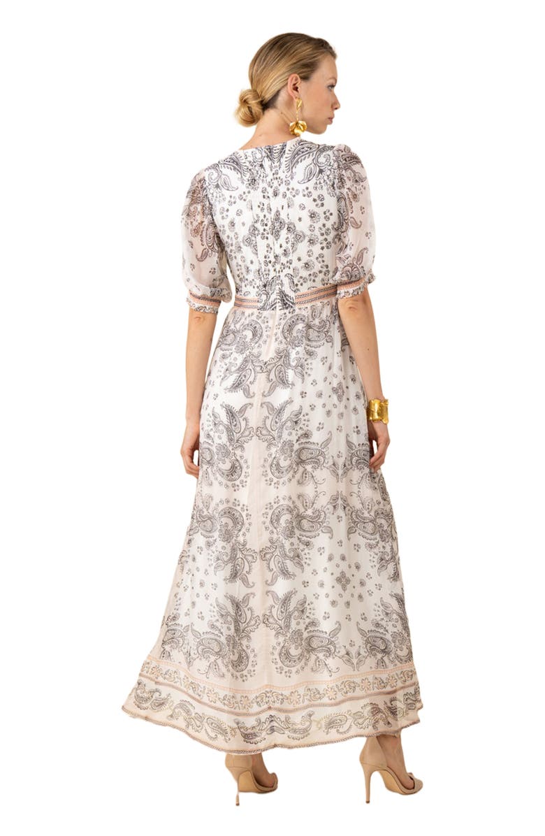 Hale Bob Lilian Chiffon Maxi Dress, Alternate, color, 