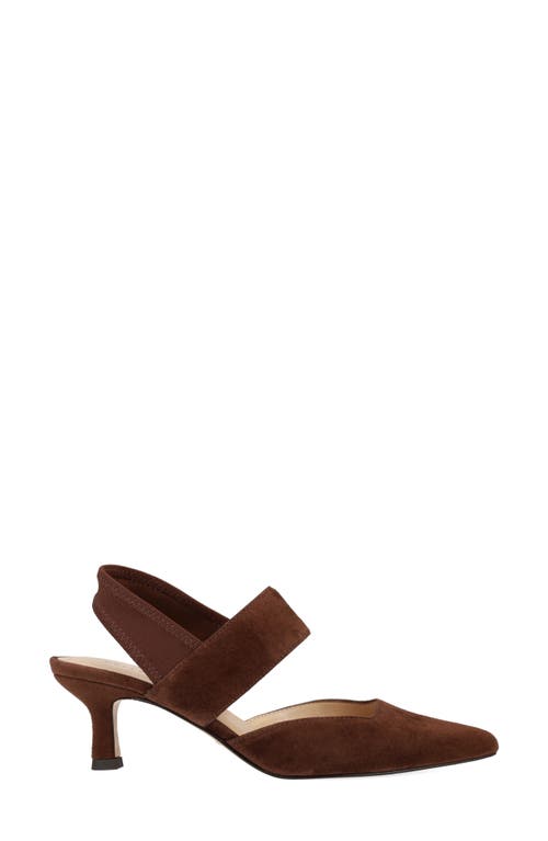 Pelle Moda Kiam Slingback Pointed Toe Kitten Heel Pump In Brown