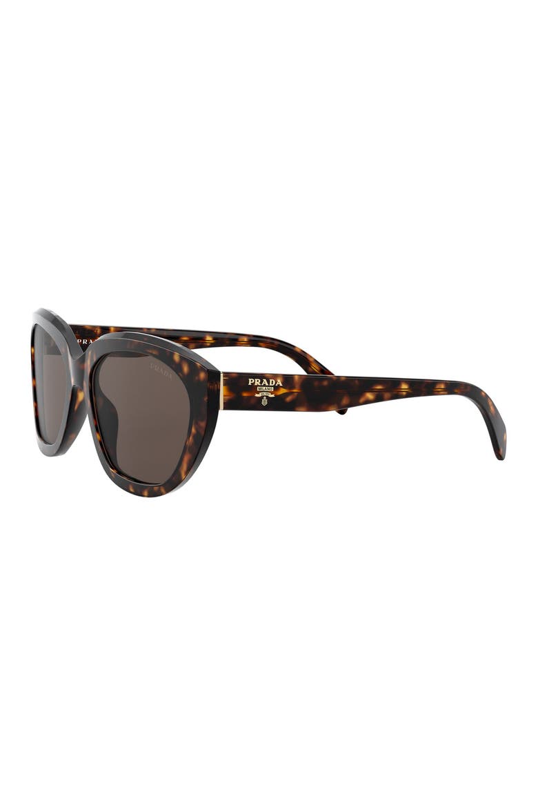 56mm Cat Eye Sunglasses, Alternate, color, HAVANA