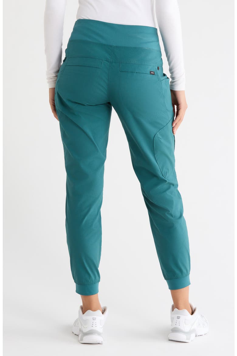 Kanab Performance Pants, Alternate, color, COAST