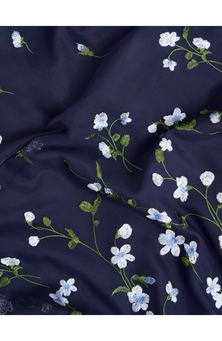 HOBBS LONDON Aria Embroidered Dress, Alternate, color, Midnight Blue