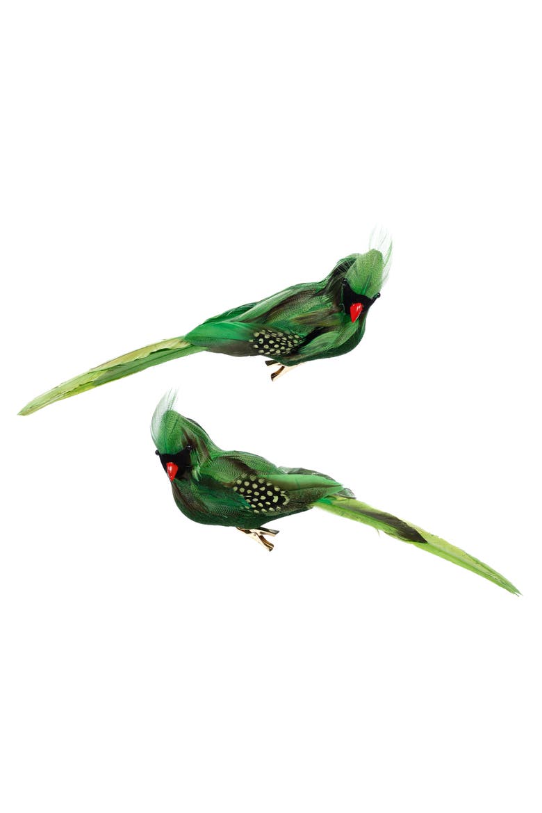 Tropical Bird Décor, Box of 6, Main, color, Green