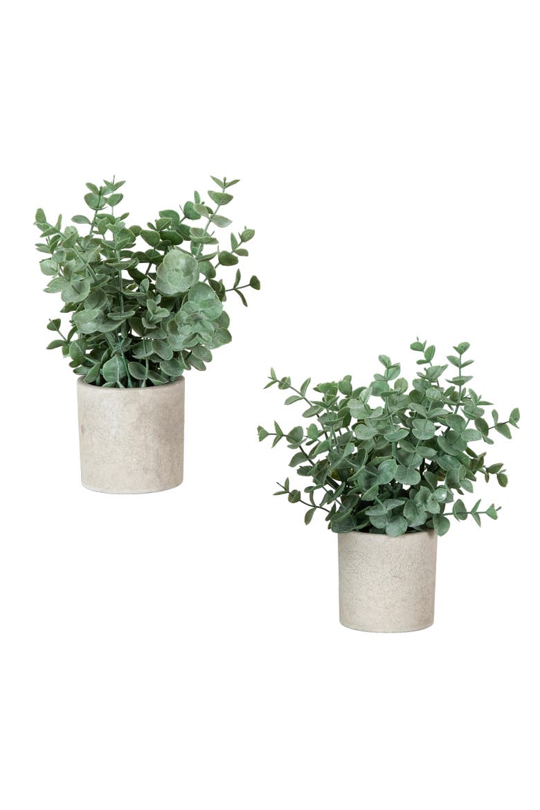 8-in Artificial Baby Blue Eucalyptus in Decorative Planter - Set of 2, Main, color, Green