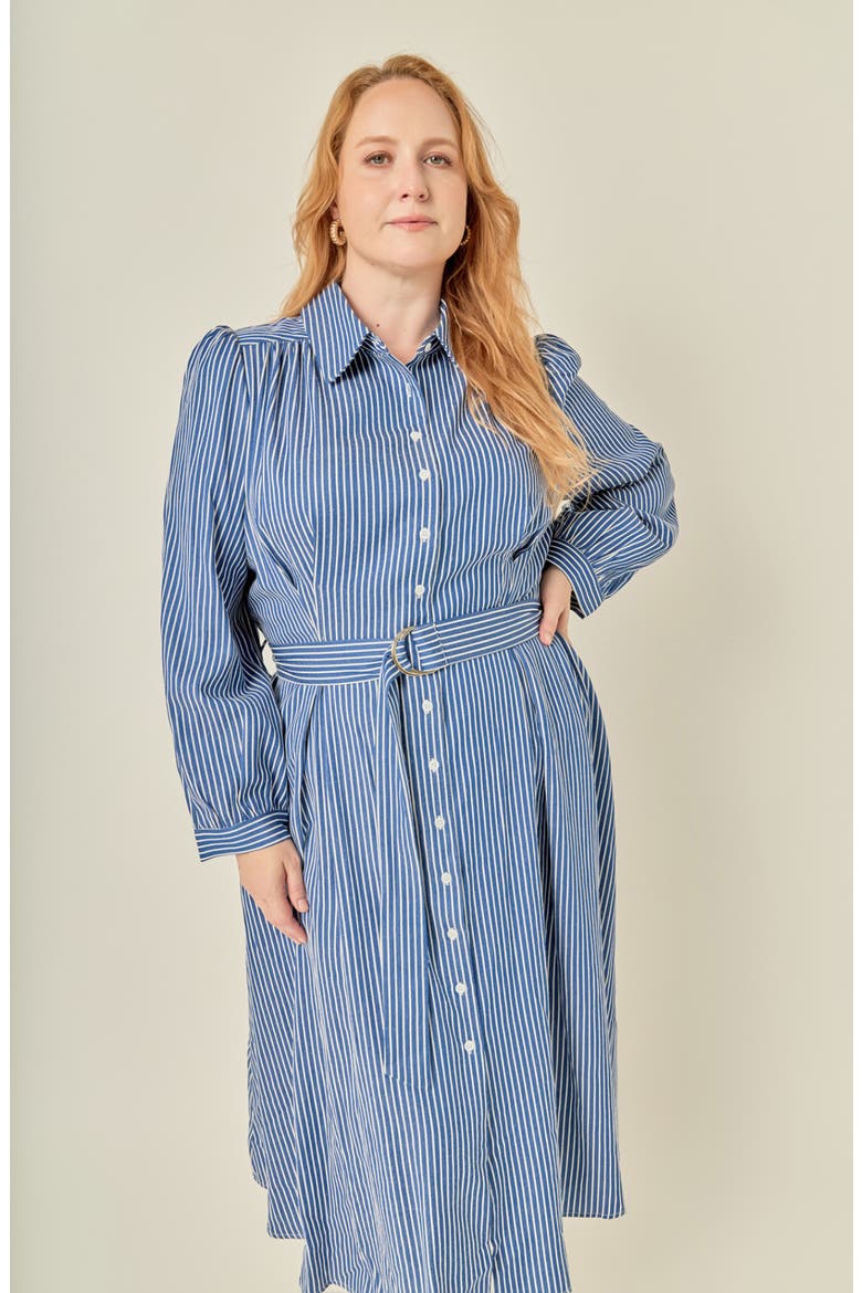 Stripe Belted Long Sleeve Maxi Dress, Alternate, color, NAVY