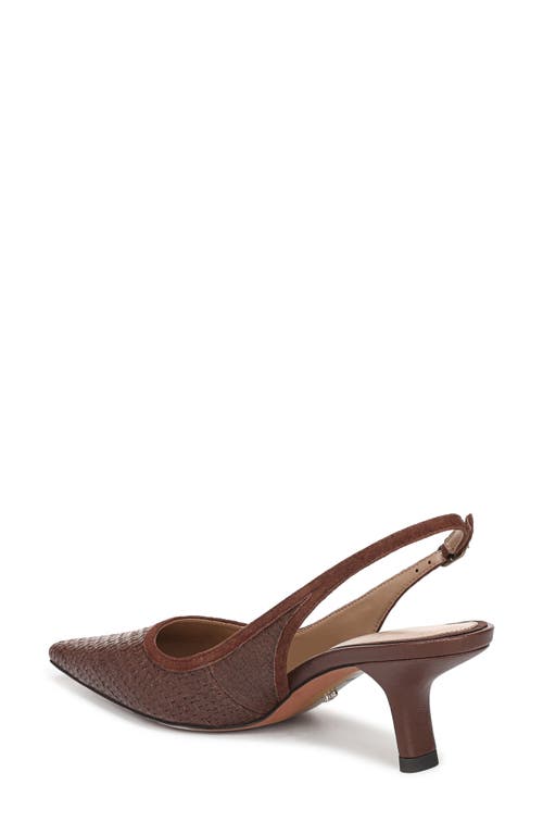 Sam Edelman Bianka Slingback Mesh Pointed Toe Pump In Multi