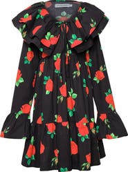 The Lulo Project Wings of the West Floral Long Sleeve Stretch Cotton Dress