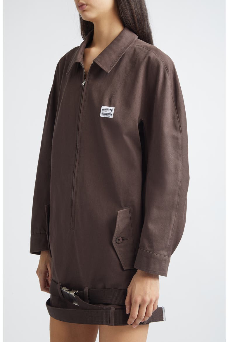 Long Sleeve Cotton Twill Minidress, Alternate, color, BROWN