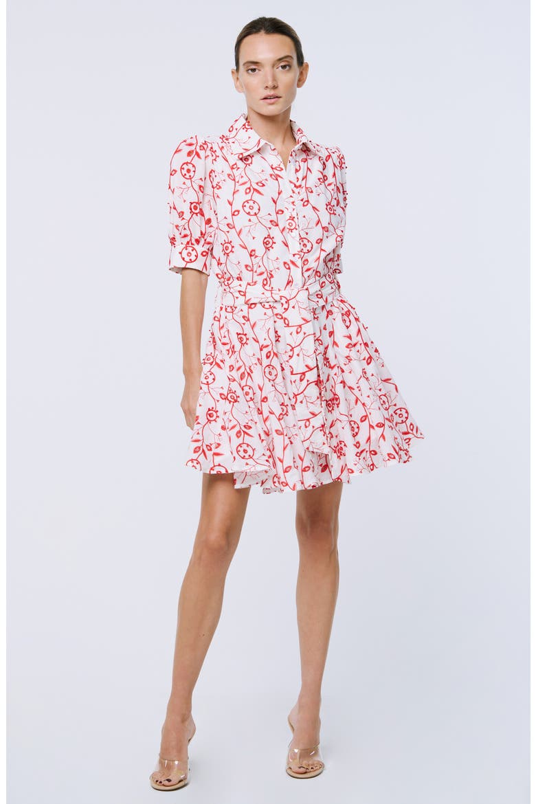 Emilie Embroidered Belted Mini Shirtdress, Alternate, color, WHITE/ RED