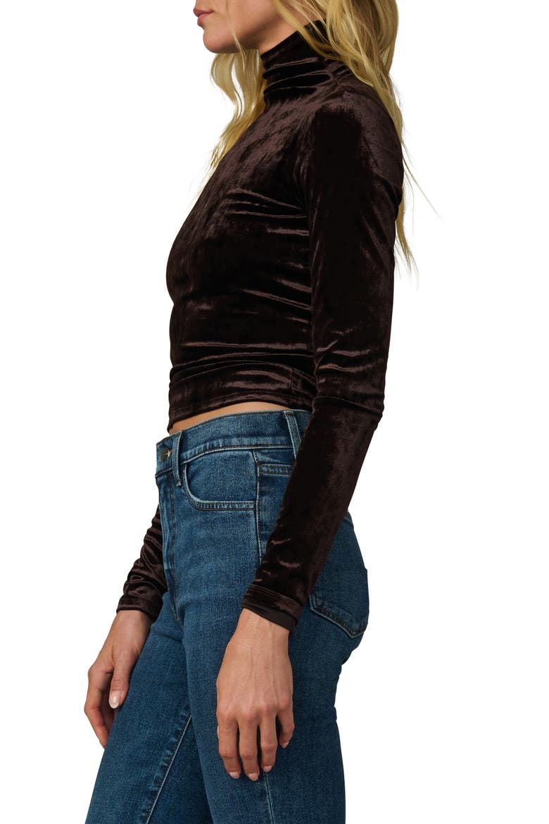 The Velvet Tony Turtleneck Top, Alternate, color, CACAO