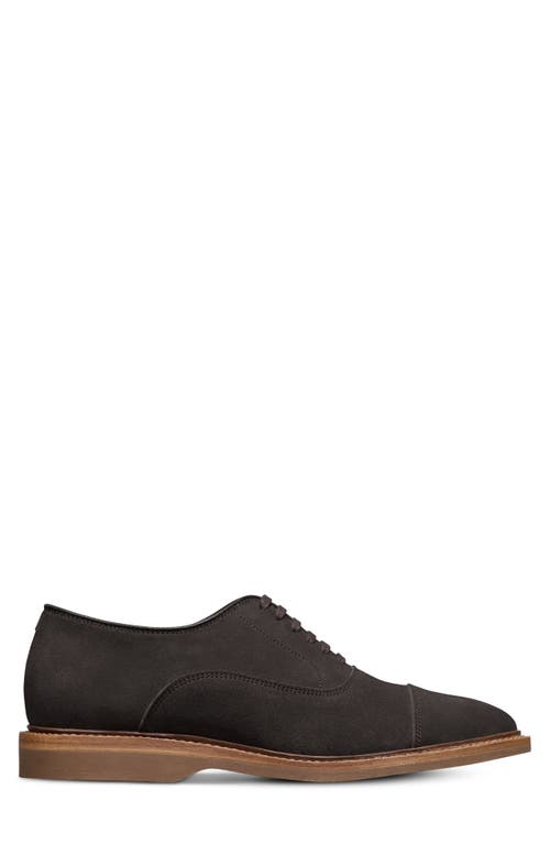 Allen Edmonds Park Verse Oxford In Brown