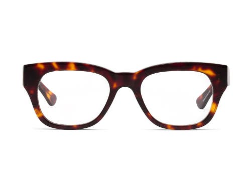 Caddis Miklos | Reading Glasses
