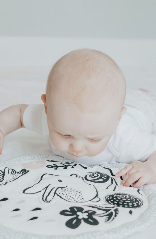 Wee Gallery Baby Sensory Activity Pad In Green