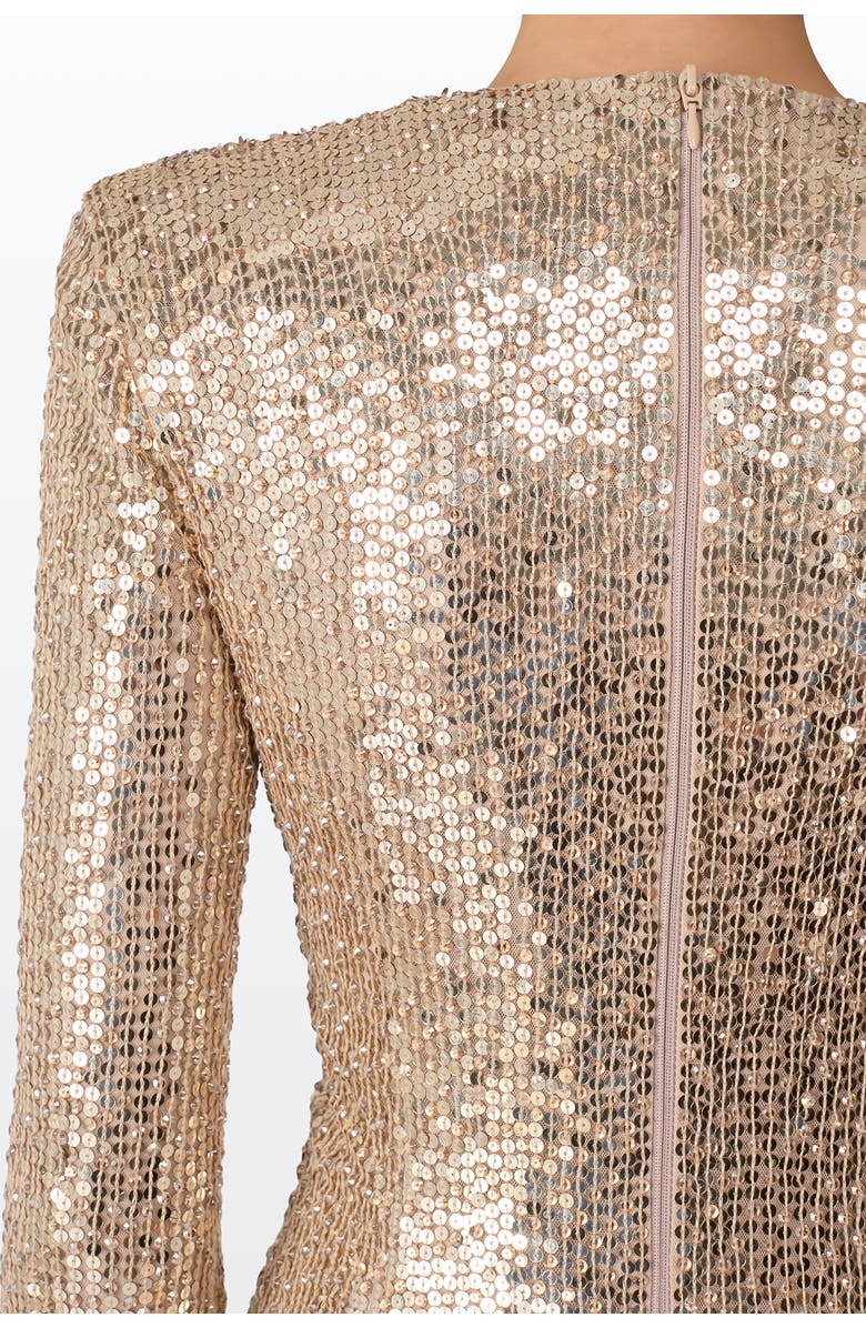 Jenny Packham Misty Blouse, Alternate, color, Cashmere