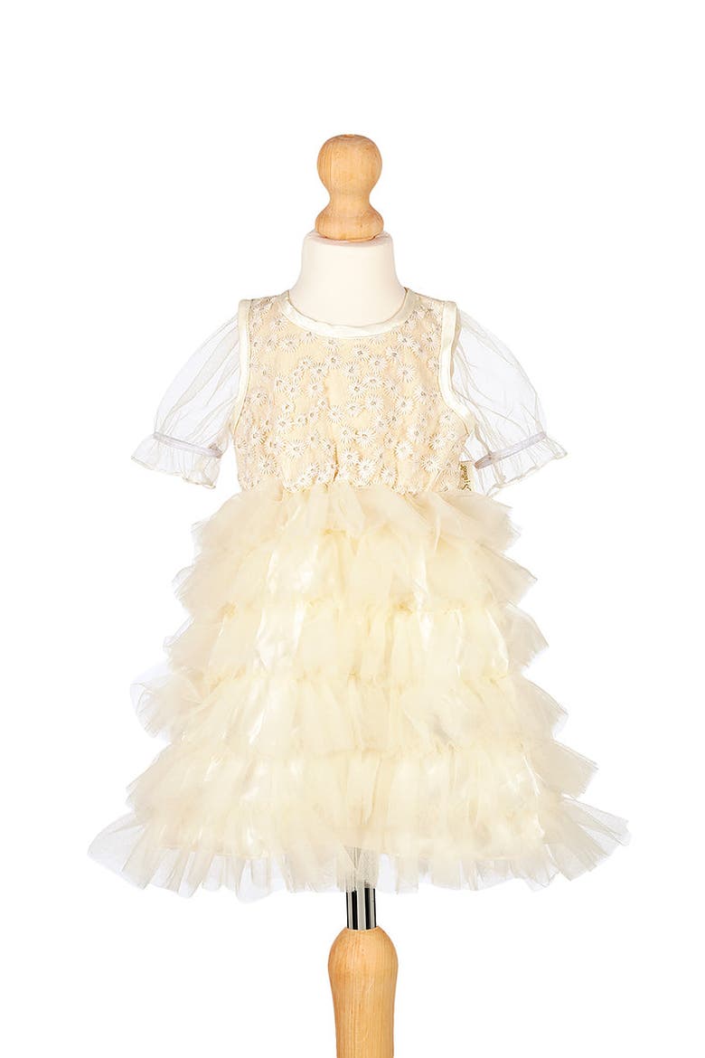 Chloé Fancy Dress, Main, color, Beige