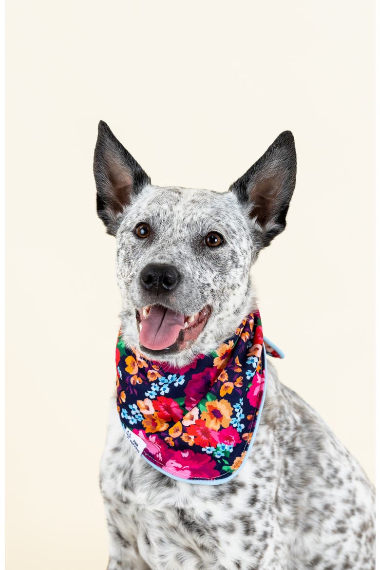 Ophelia Pet Bandana, Alternate, color, Ophelia