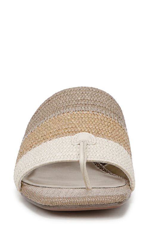 Franco Sarto Loran Sandal In Brown