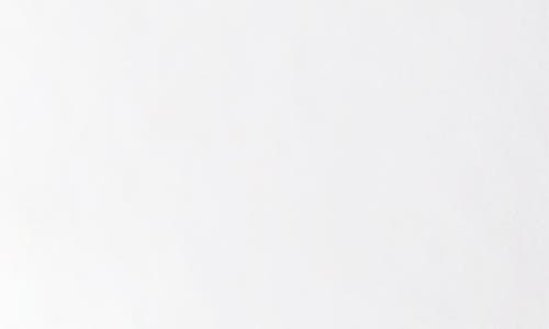 Coyuchi 300 Thread Count Organic Cotton Percale Pillow Sham In Alpine White