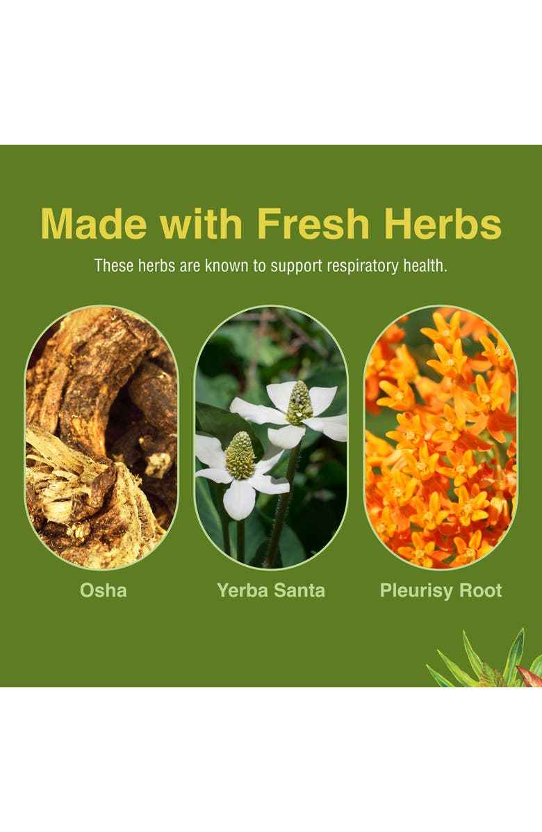 Trace Minerals Respiratonic 60 count Softgel, Alternate, color, NO COLOR