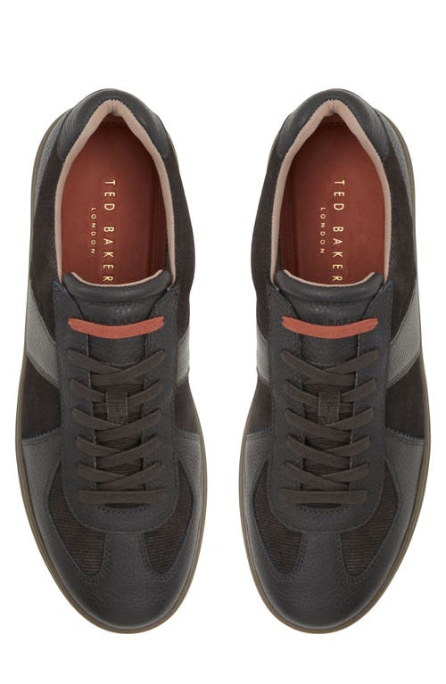 Ted Baker London Bishopwood Sneaker In Dark Brown