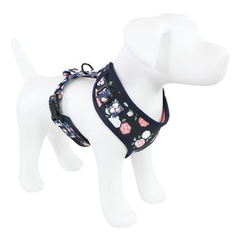 Pet Harness