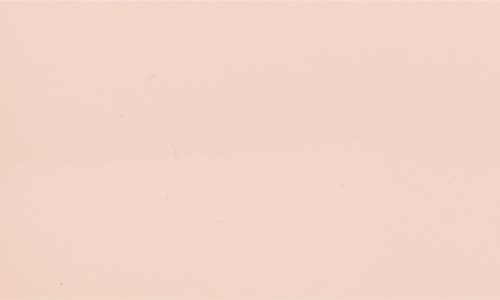 Sandy Liang Pencil Case Leather Handbag In Pink