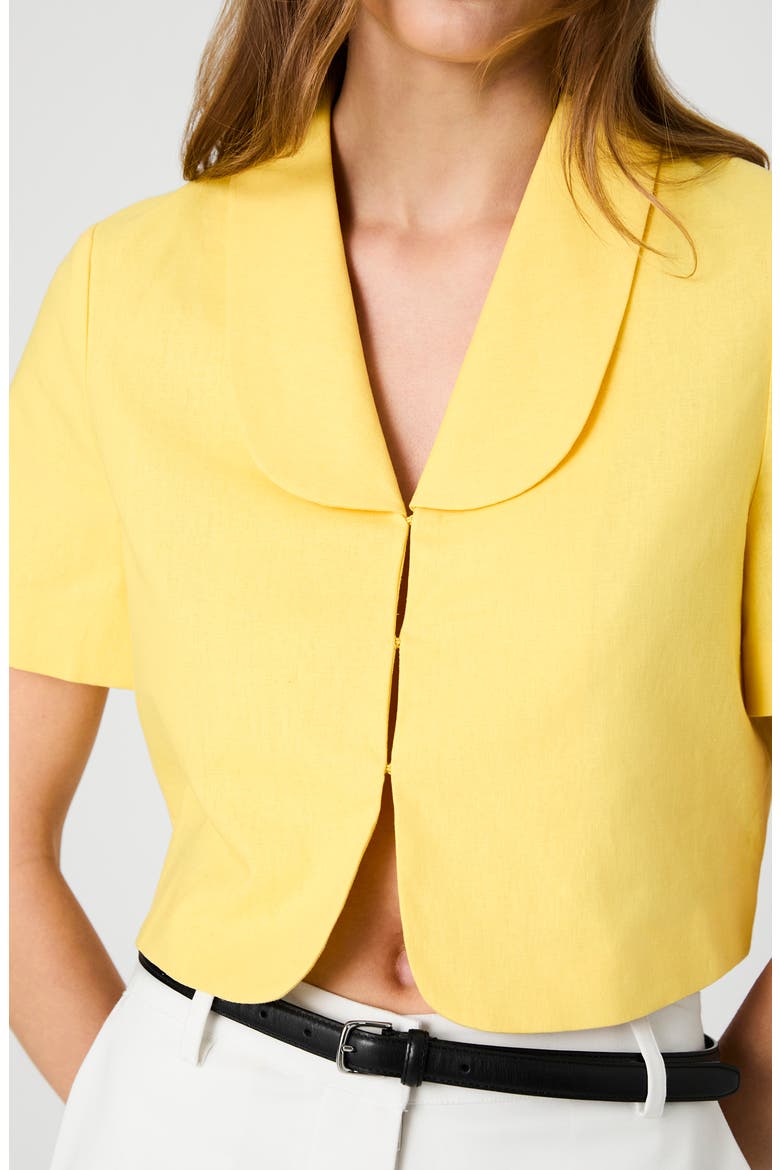 Theo Oversize Peter Pan Collar Crop Top, Alternate, color, BRIGHT DAISY