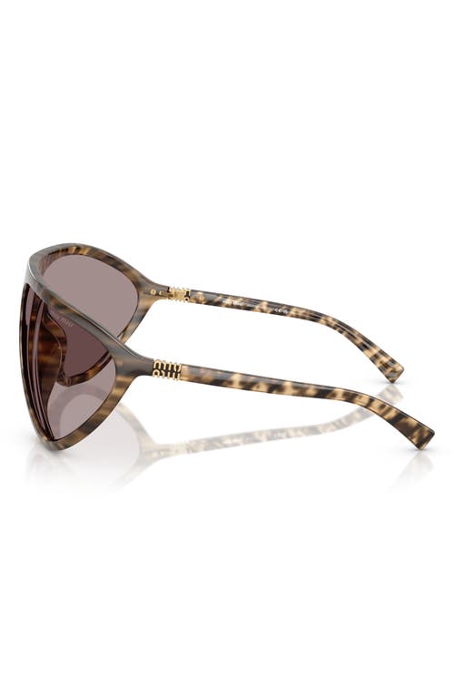Miu Miu 75mm Oversize Shield Sunglasses In Brown