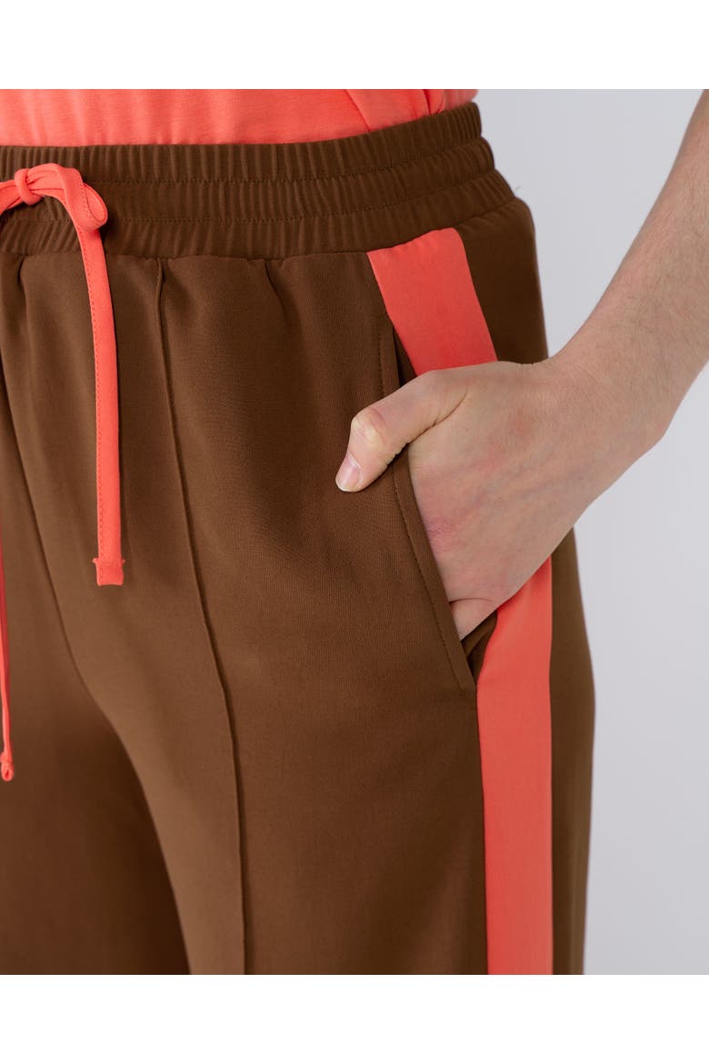 Drawstring Waist Side Stripe Trousers, Alternate, color, Light Chocolate & Coral Stripe