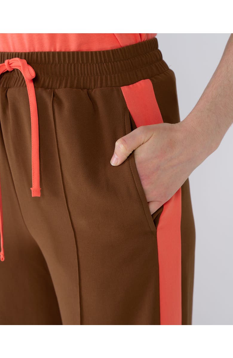 Kettlewell Drawstring Waist Side Stripe Trousers, Alternate, color, Light Chocolate & Coral Stripe