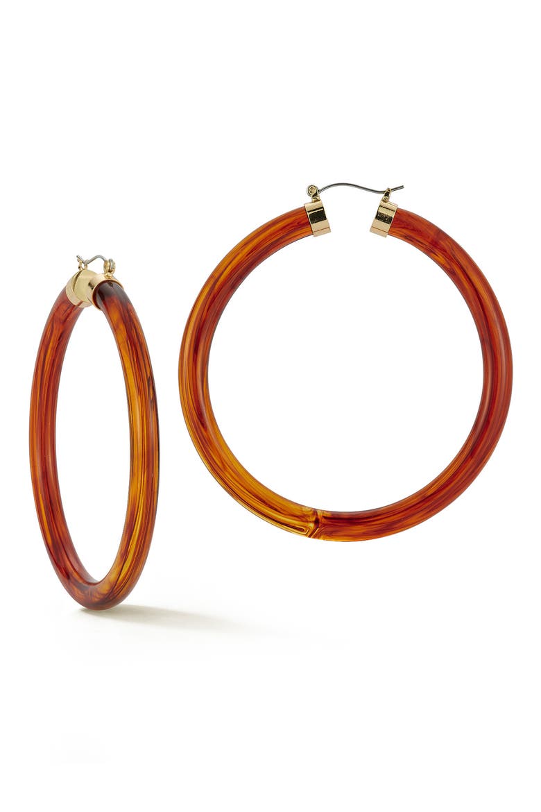 Large Round Hoop Earrings, Main, color, BROWN/ SILVER