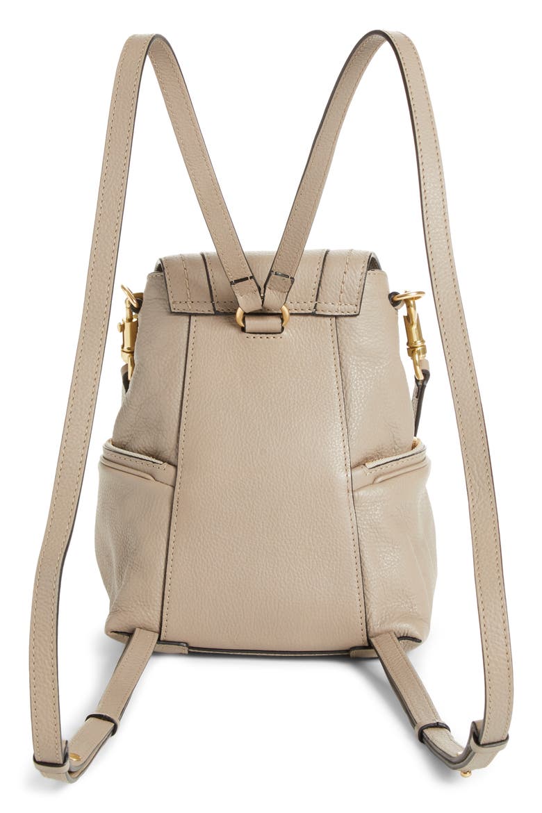 Small Olga Leather Backpack, Alternate, color, MOTTY GREY