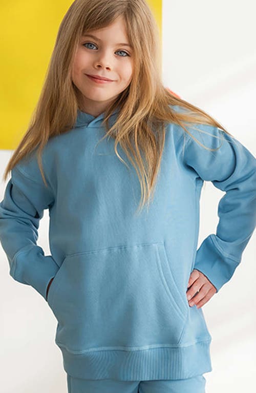 Shop Mightly Organic Cotton Pullover Pocket Hoodie In Chambray
