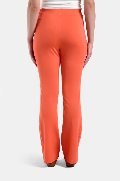 Capsule 121 The Infrared Pant In Coral