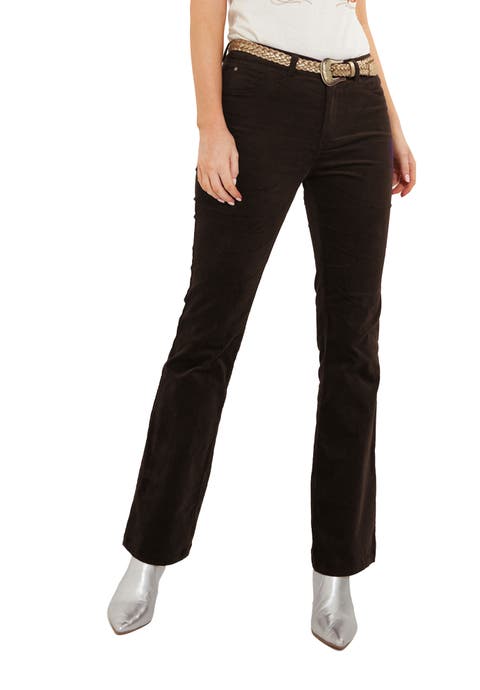 Moleskin Trouser (Plus)