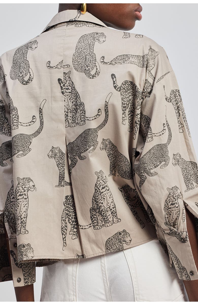 Reistor Oversized Cropped Button-Down Shirt, Alternate, color, Grey