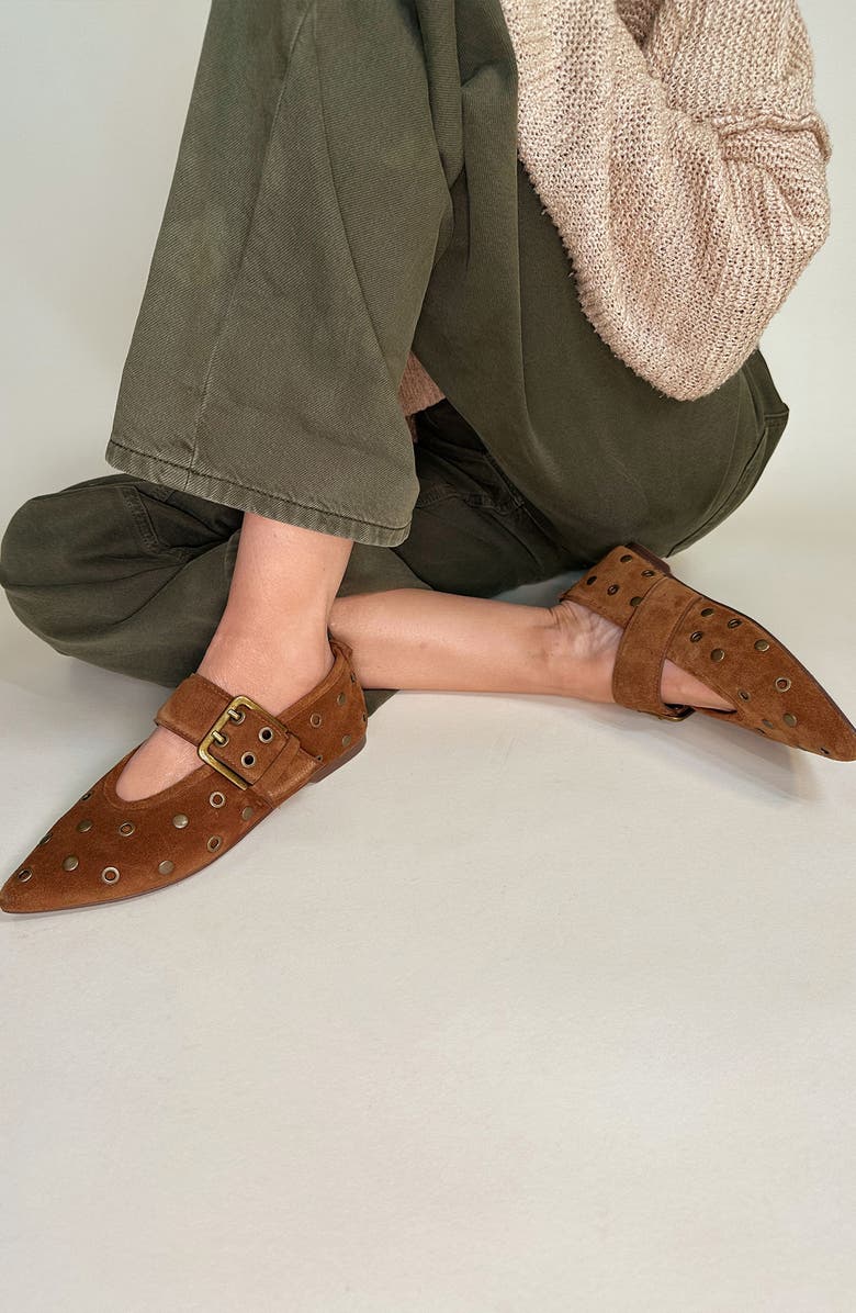 Seychelles Abbey Pointed Toe Flat, Alternate, color, Brown