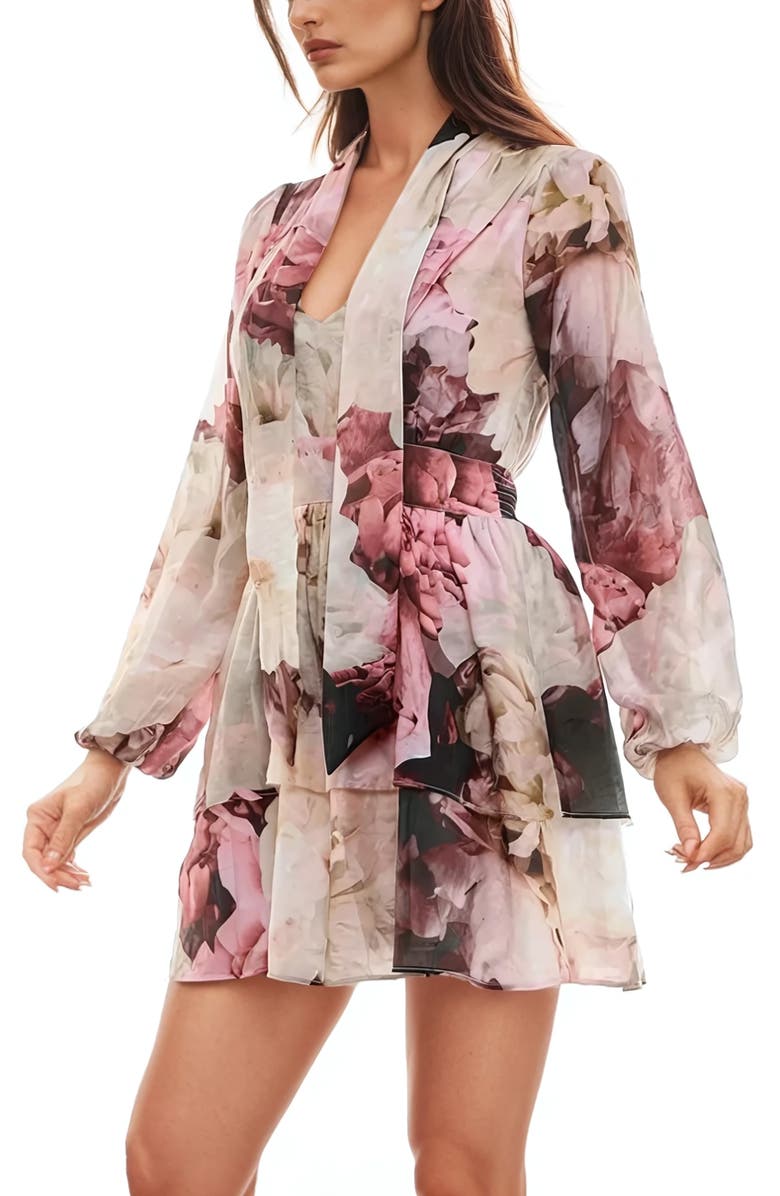 Socialite Floral Print Tiered Long Sleeve Minidress, Alternate, color, 