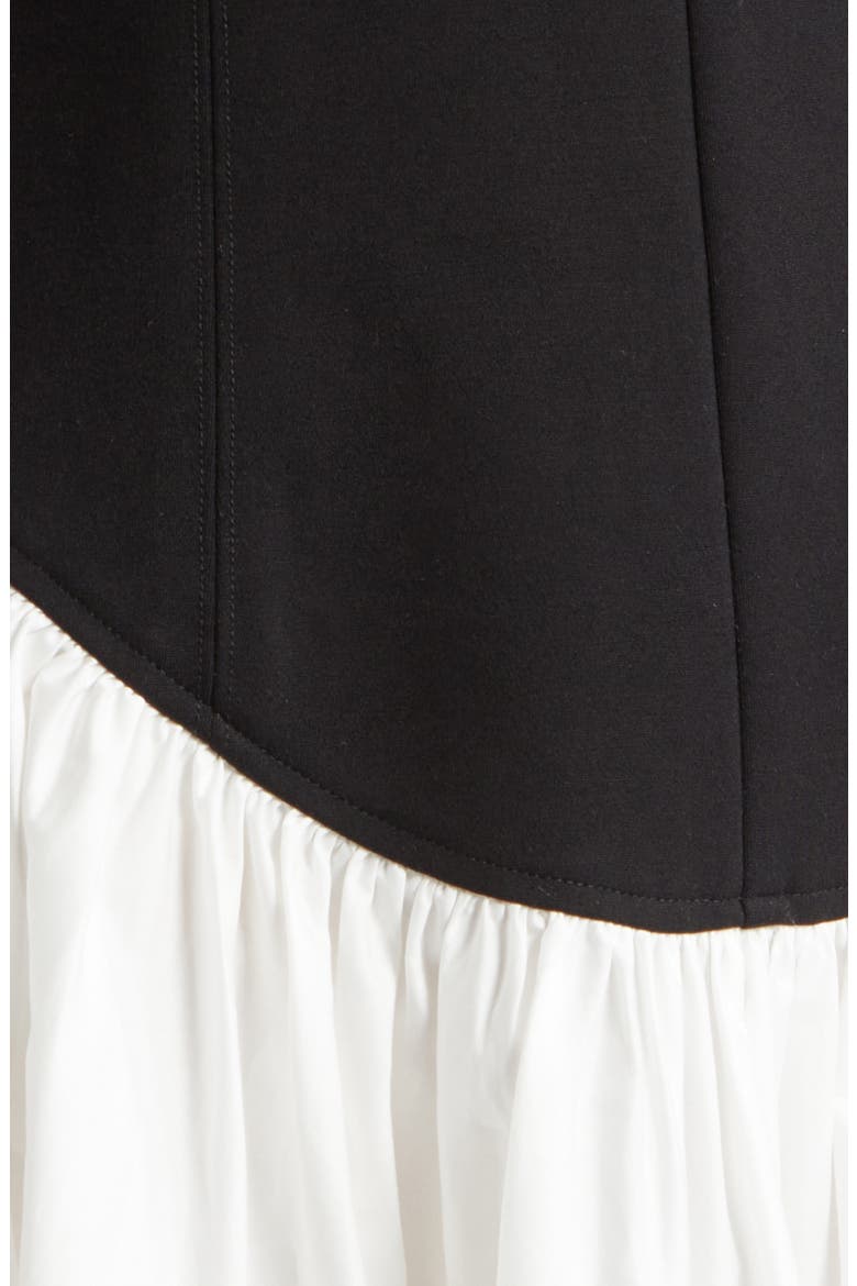 Lavinia Sleeveless A-Line Dress, Alternate, color, JET/ OPTIC