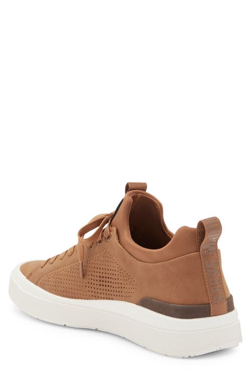 Steve Madden Pyper Sneaker In Tan