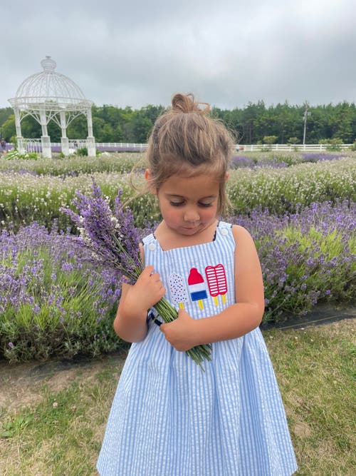 Florence Eiseman Seersucker Dress With Popscicles In Multi