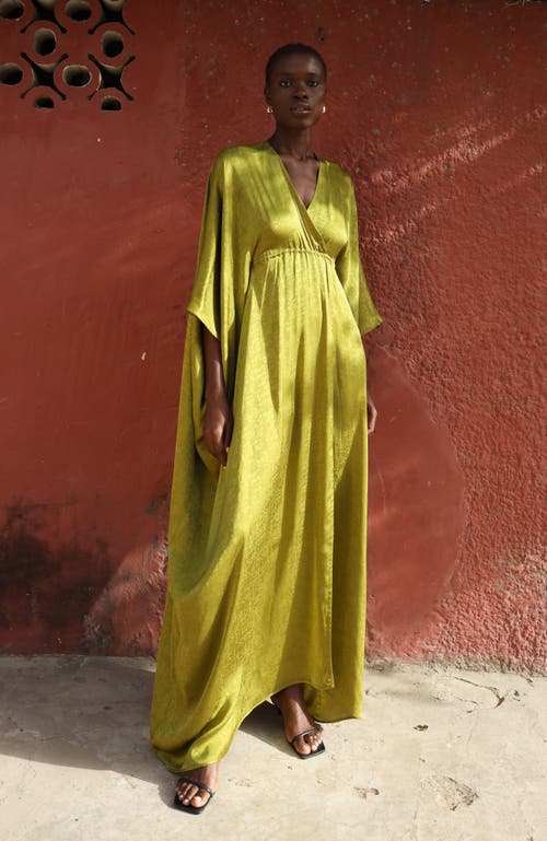 Diarrablu Naim Dress In Ayel Olive