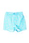 selected Bright Aqua Gingham