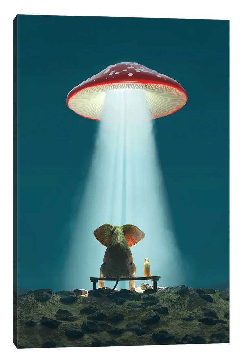 Elephant And Dog Look At A Flying Mushroom by Mike Kiev Canvas Wall Art, Main, color, BLUE/ GREEN