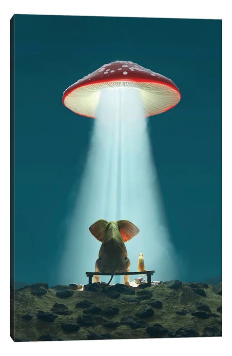 Elephant And Dog Look At A Flying Mushroom by Mike Kiev Canvas Wall Art