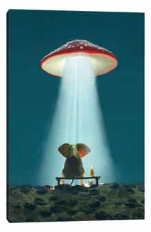 iCanvas Elephant And Dog Look At A Flying Mushroom by Mike Kiev Canvas Wall Art