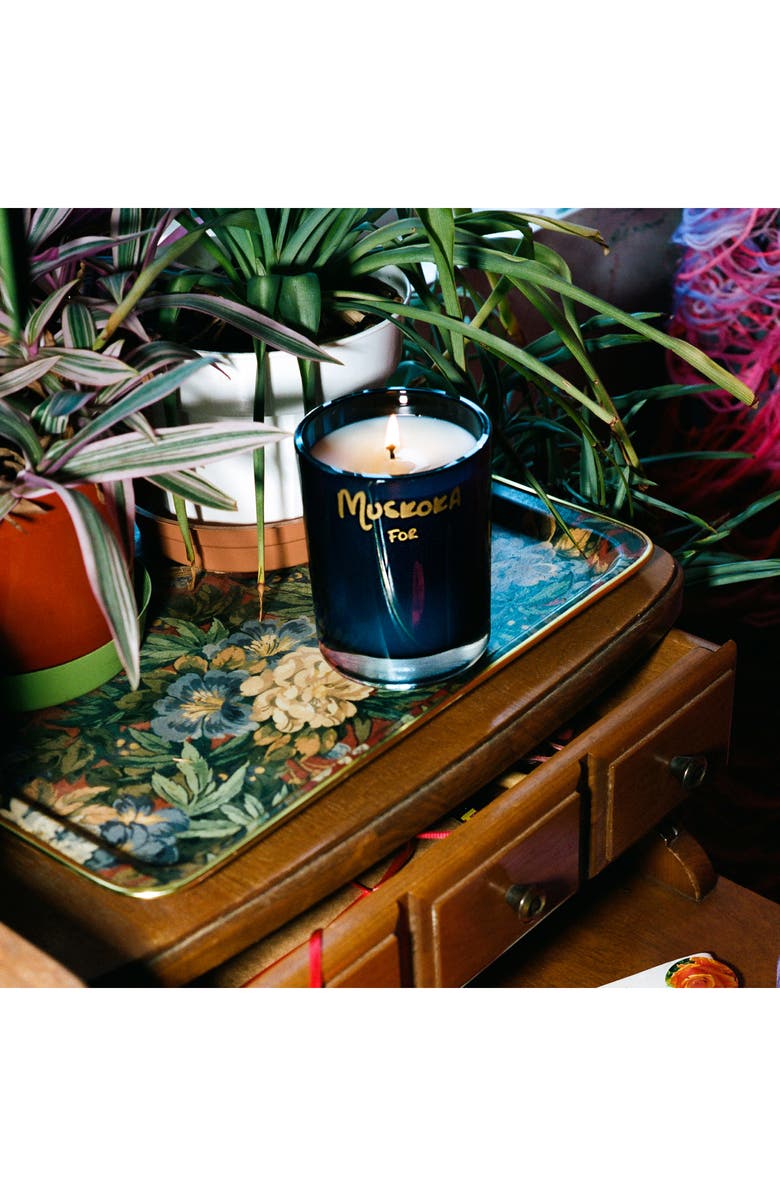 BETTER WORLD FRAGRANCE HOUSE Muskoka Candle, Alternate, color,