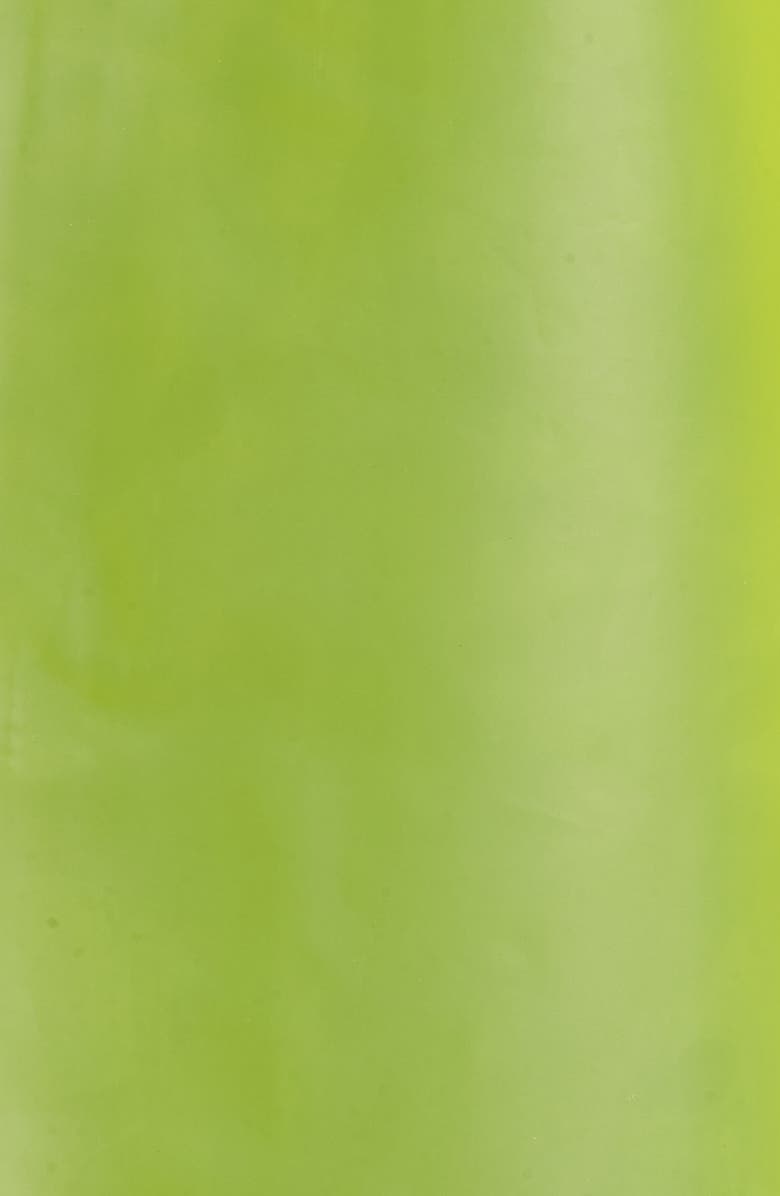 Rains Hooded Rain Jacket, Alternate, color, 