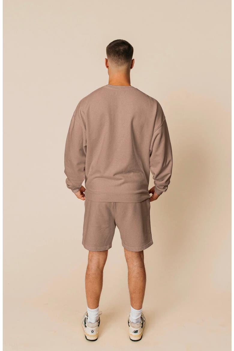 Men's Organic Cotton Teddy Everywhere Shorts, Alternate, color, Fawn