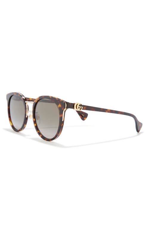 Gucci 55mm Round Sunglasses In Havana Havana Brown