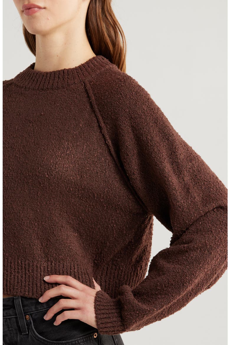 Snug Raglan Sleeve Crop Sweater, Alternate, color, FRENCH ROAST